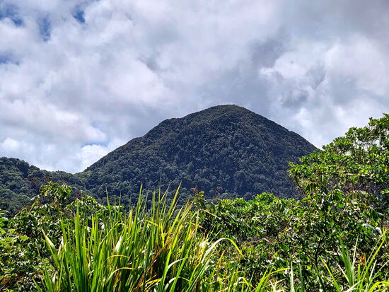 Im Nationalpark von Guadeloupe