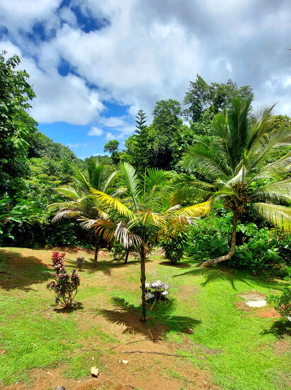 Karibischer Biergarten