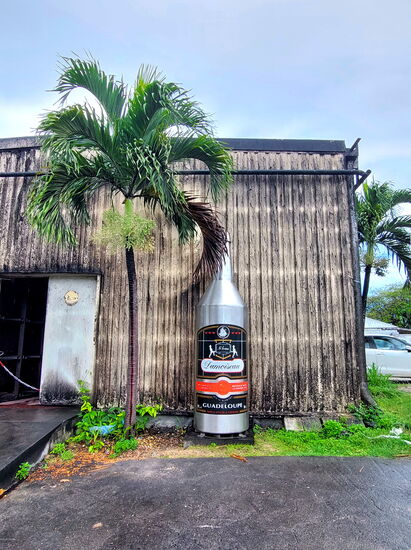 In der Rum-Destillerie Damoiseau