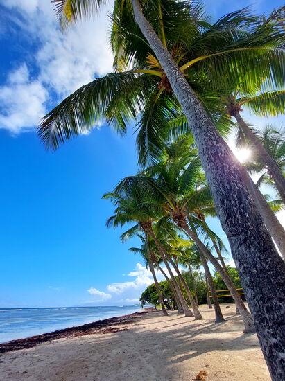 Traumstrand Bois-Jolan