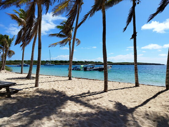Palmenstrand auf Petite-Terre