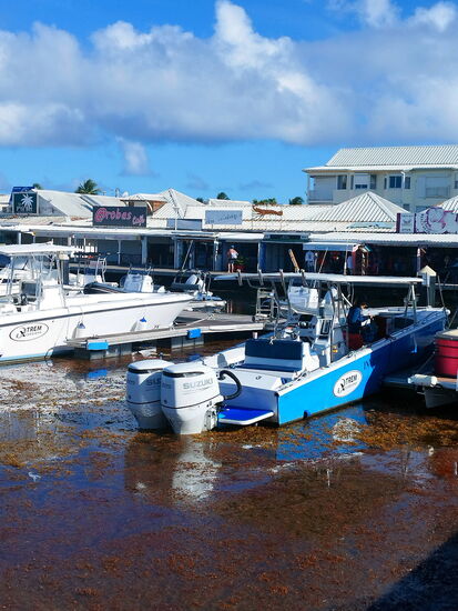 Zurück in der Marina