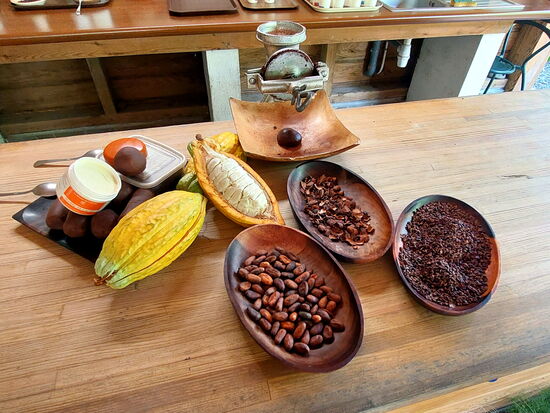 Kakao in verschiedenen Stadien der Verarbeitung