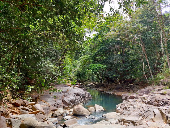 Fluss am Saut d'Acomat