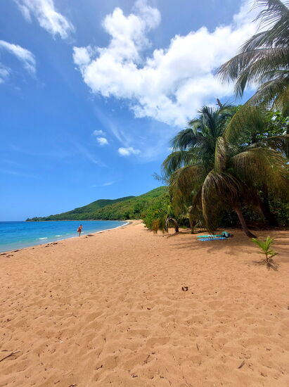 Plage de Grande Anse