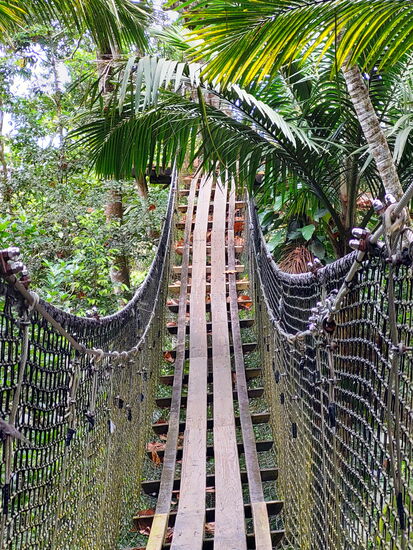 Eine von 14 Hängebrücken