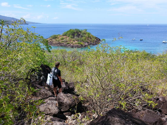 Blick auf die kleinere der Îles de Pigeon