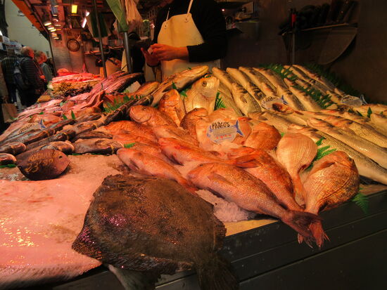 Grosses Fischangebot