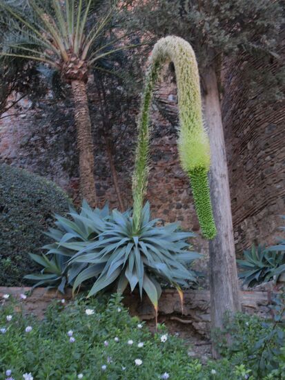 Was für ein schönes Exemplar!