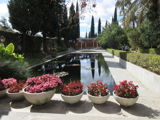 Becken mit Wasserpflanzen