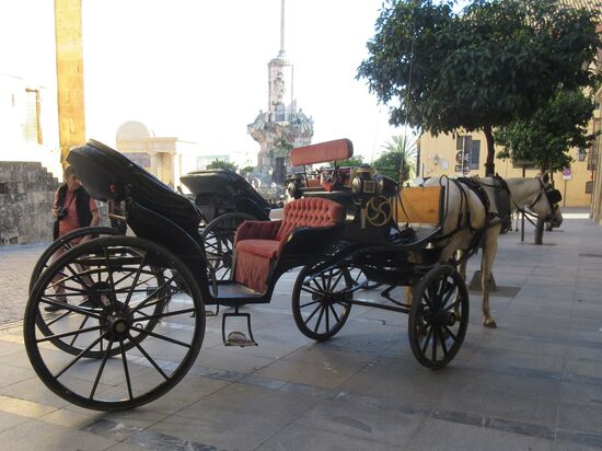 Es werden Kutschfahrten angeboten