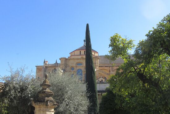 Die Moschee und der Orangenhof