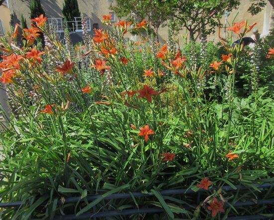 Es gibt viel Blumenschmuck in Valence