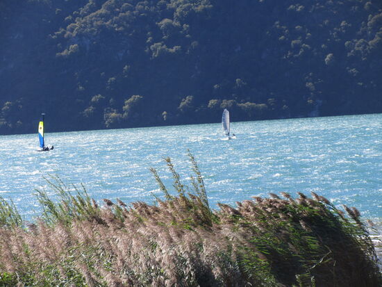 Surf-Wetter