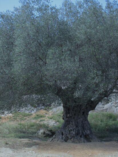 Wie alt er wohl ist?