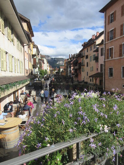 Blick auf die Altstadt