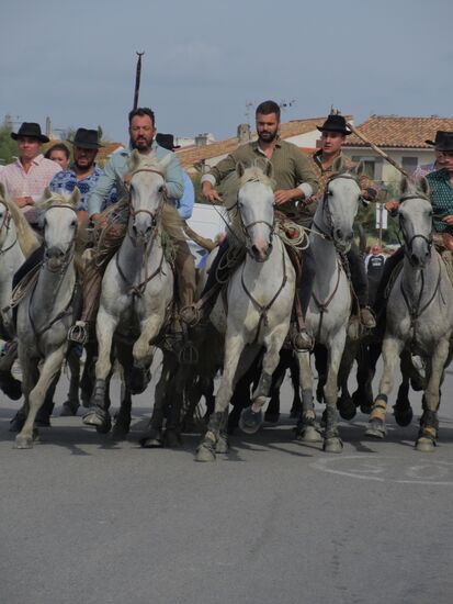 Die Guardians rasen in höllischem Tempo zur Arena