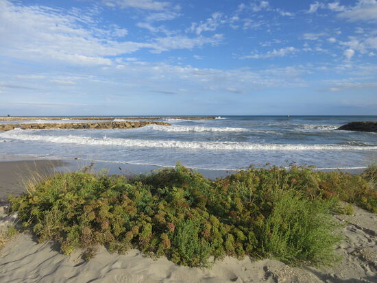 Plage Amphores bei Wellengang