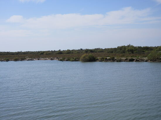 Ganz schön breit die Petite Rhone