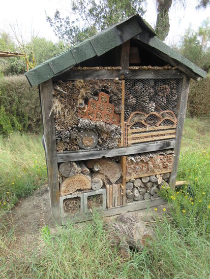 Futterhaus für Insekten