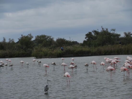 Alle Köpfe sind unten...
