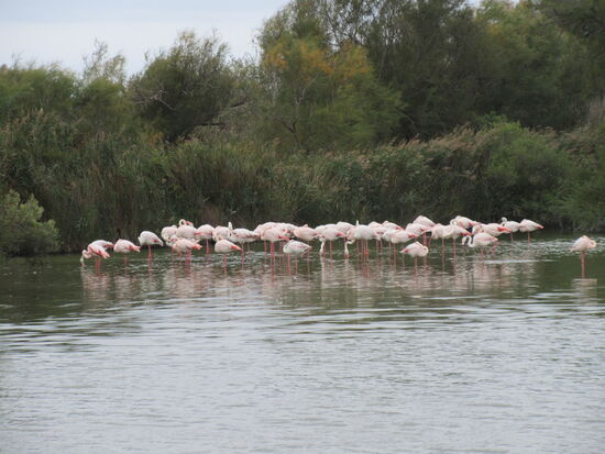 Warum stehen sie so eng beiander?