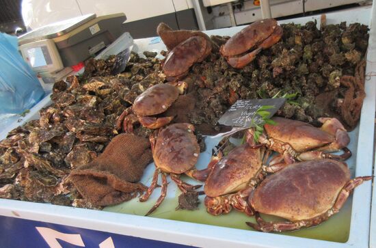 Sie leben noch., denn sie haben sich bewegt...