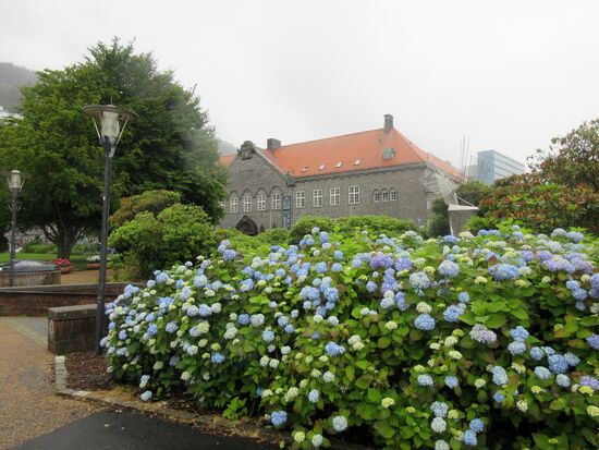 Library mit Hortensien