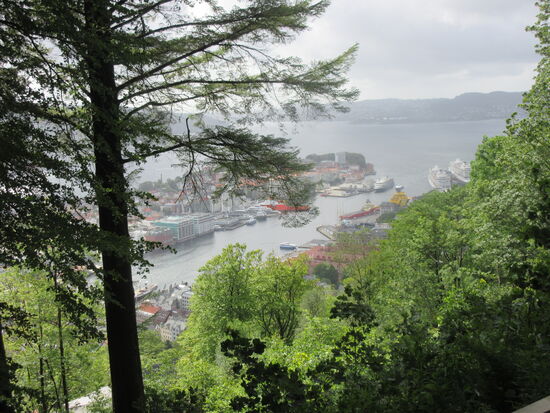 Und auch nochmals ein Blick auf den Hafen