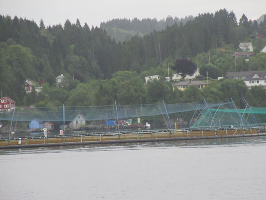 Netze schützen die Fischzucht