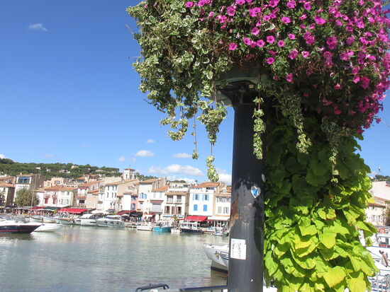 Blick auf die Hafenpromenade