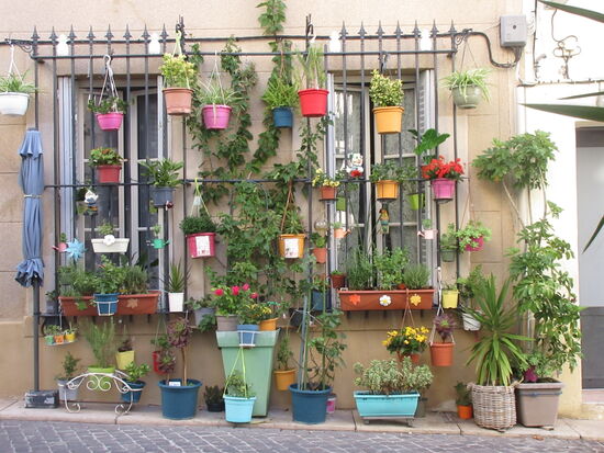 Mit Pflanzen geschmücktes Haus
