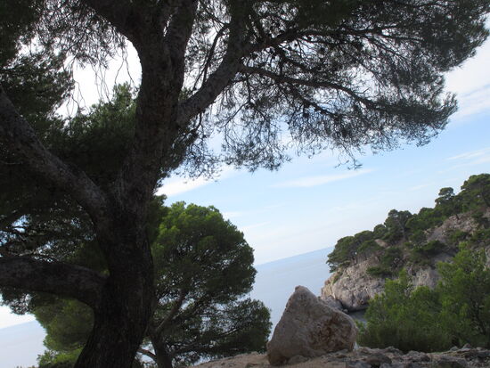 Am Ende des Sentiers