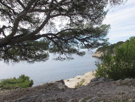 Ein schöner Rastplatz zum Picknicken