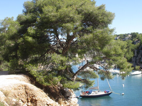 Hier lässt es sich gut ankern!