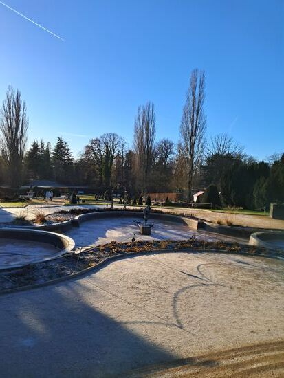 Botanischer Garten im Winter