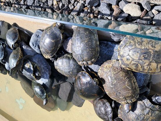 ...liegen meistens "übereinander"...