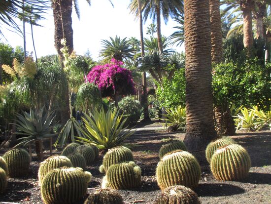 Kakteengarten