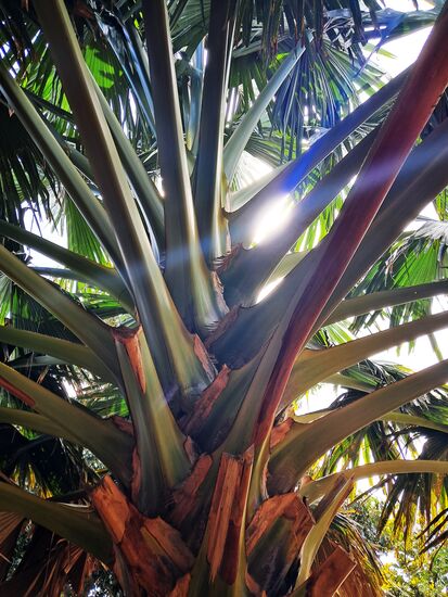 Was für ein schöner Anblick