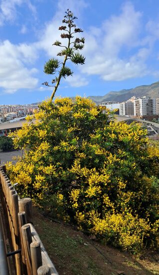 Wir laufen abwärts zum Ausgang