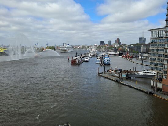 Blick auf die Elbe und die Stadt