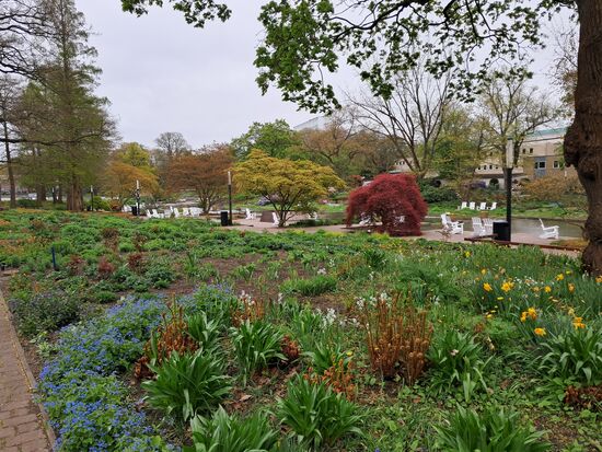 Ein wunderschöner Park