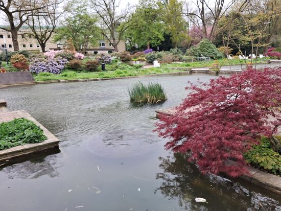Schöner Teich