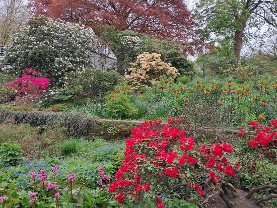 Im japanischen Garten