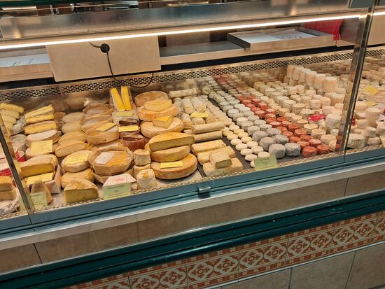Käse in vielen Variationen