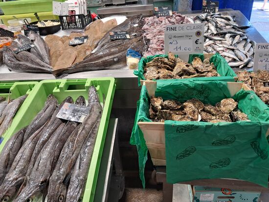 Grosse und kleine Fische und Austern