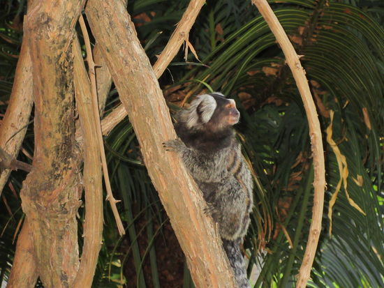 Besuch im Restaurant