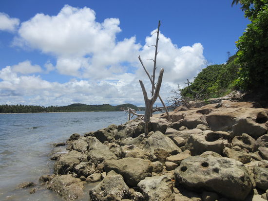 Das Ende des "Schlamm"-Strands