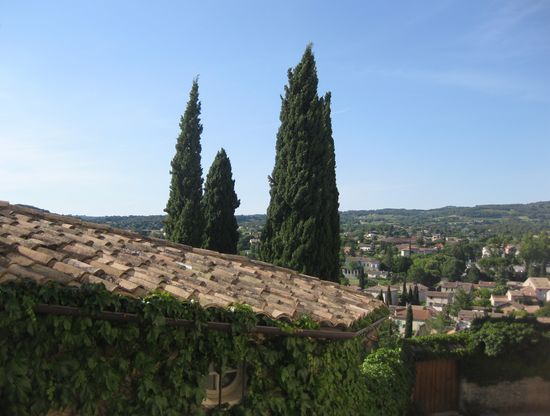 Blick von der Terrasse