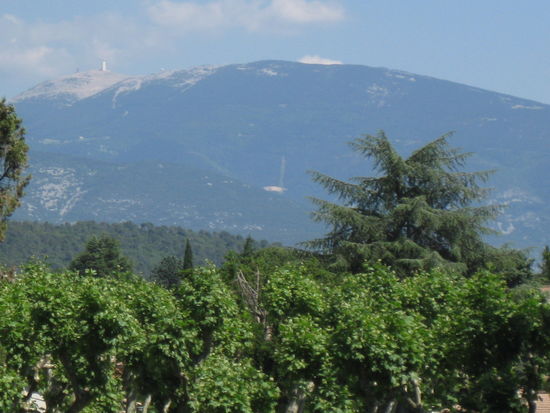 Blick auf Mont Ventoux